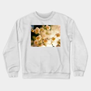 Dreamy Crewneck Sweatshirt